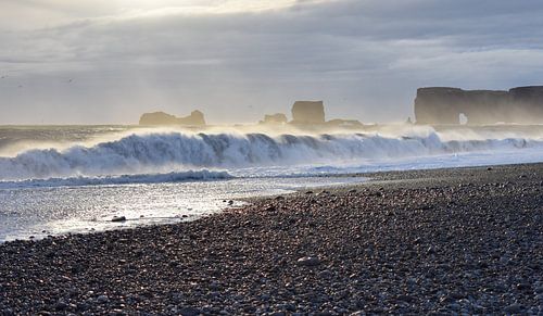 Wilde Natur in Island