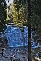 Waterfall among the trees