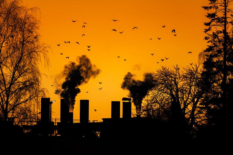 Smoking chimneys of a factory in the sunset by ManfredFotos