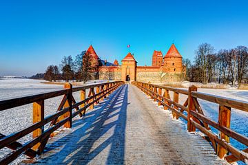 Trakai eiland kasteel museum van Yevgen Belich