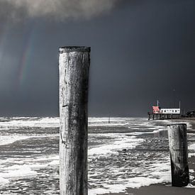 Petten at sea by Nico Buijs