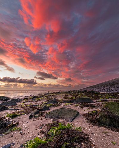 Spectaculaire rode wolken boven drooggevallen Waddenzee