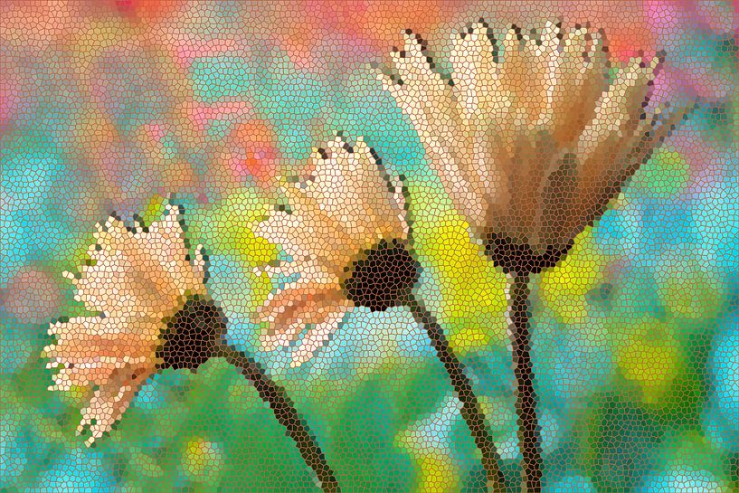 Mosaïque de Gerbera par Marion Tenbergen