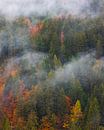 Autumn in the Dolomites, Italy by Henk Meijer Photography thumbnail