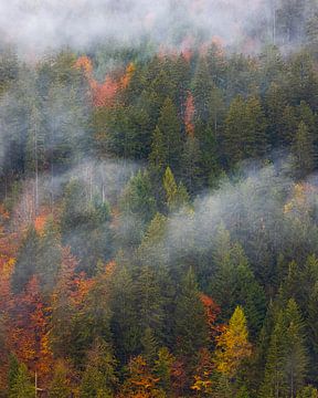 L'automne dans les Dolomites, Italie