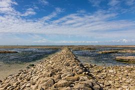 Îl de Ré, France (III) by Anneke Hooijer