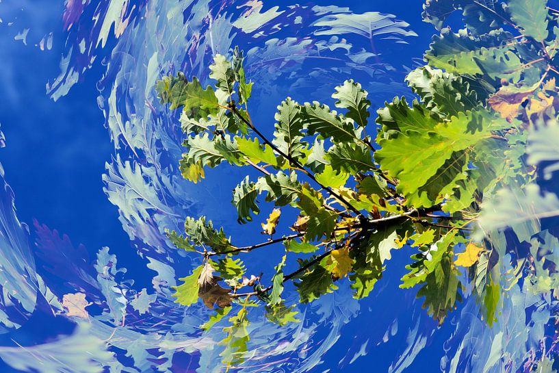 Blauer Himmel von Daniel Dorst