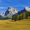 Prachtige herfstdag op de Seiser Alm (Alpe de Siusi) van Gisela Scheffbuch