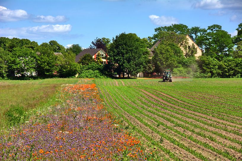 Veldwerk van Edgar Schermaul