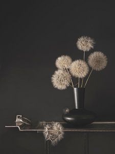 Nature morte moderne.