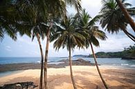 Praia Piscina (Sao Tome) by Bart van Eijden thumbnail