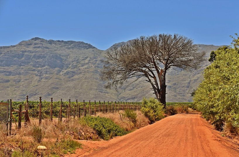rode zandweg van Werner Lehmann