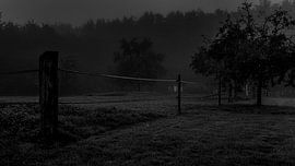 Before the sun rise by Alex de Bolivar