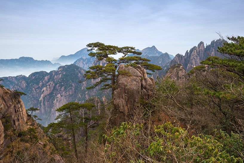 Mooie natuur in China : berglandschap van Yellow Mountain (Huangshan) van Chi