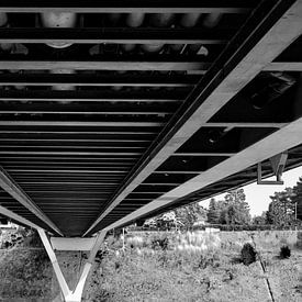 Under the bridge van Bruno Roosendans