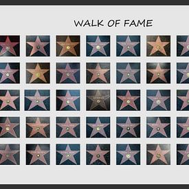 Walk of Fame sur Matthias Brix