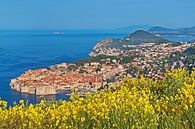 Dubrovnik, Kroatien von Gunter Kirsch Miniaturansicht