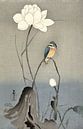 Japanse Ijsvogel in een bewerking van nu van Affect Fotografie thumbnail