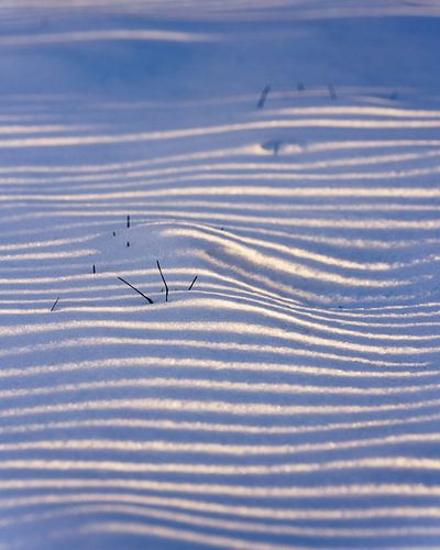 Dunes de neige sur Steven Driesen