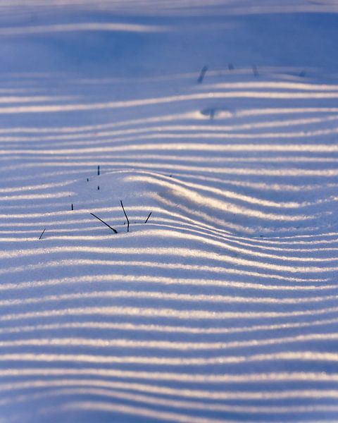 Snow Dunes by Steven Driesen