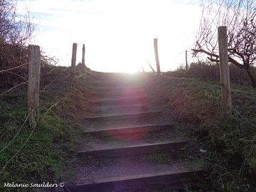 Trap naar zonneschijn