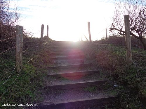 Trap naar zonneschijn