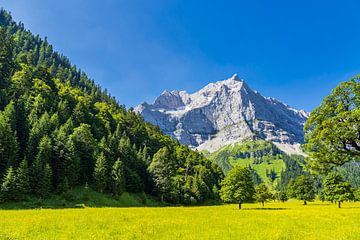 The Große Ahornboden in the Rißtal valley near the Eng Alm in Austria by Rico Ködder