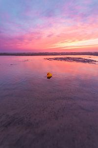 Canard en caoutchouc sur la plage (0143)
