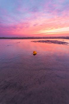 Canard en caoutchouc sur la plage (0143)