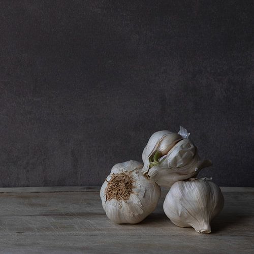 Garlic by FL fotografie