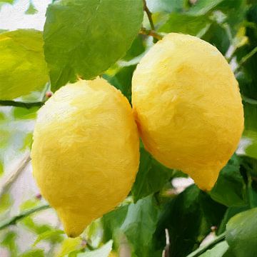 It`s just a little lemon tree