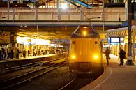 Station Utrecht Centraal met intercity  von Donker Utrecht Miniaturansicht