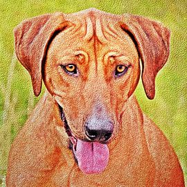 un chien Rodesian Ridgeback mixed media sur Werner Lehmann