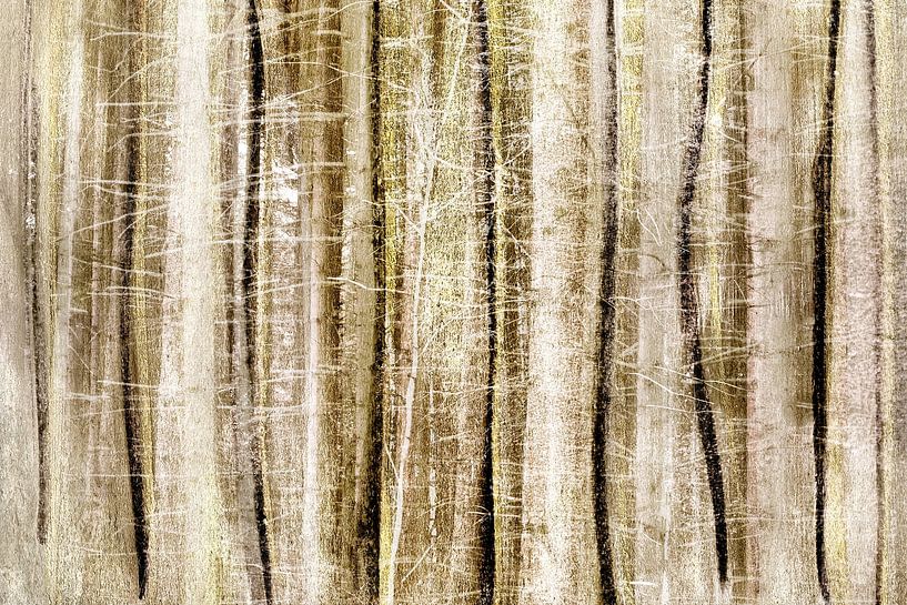 Alan's Song | Abstract Forest Collage by Menega Sabidussi