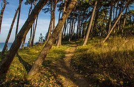 Lake view by Holger Felix