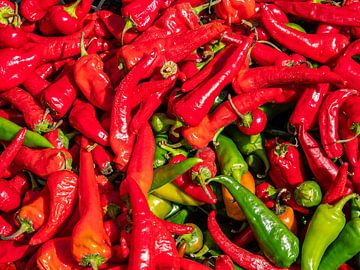 red chillies at the weekly market by Animaflora PicsStock