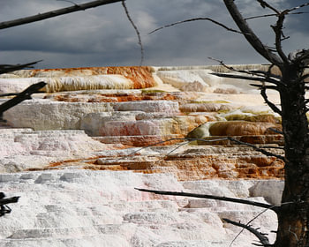 Sinterterrassen bei Mammoth Hot Springs