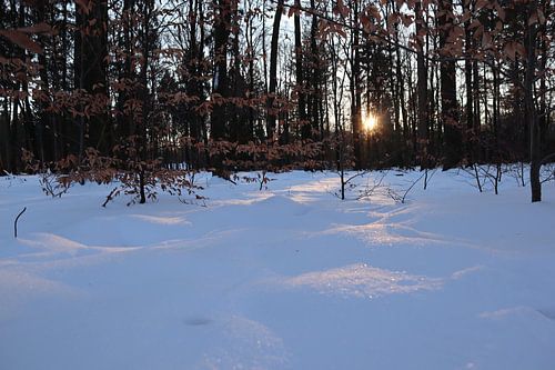 Ondergaande zon in de winter