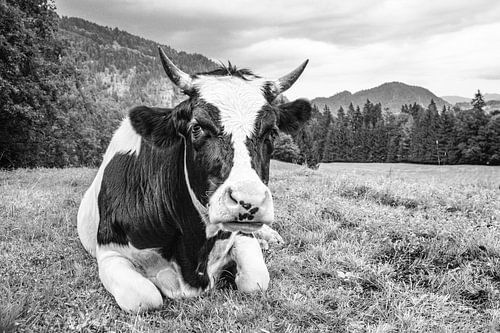 Black and white? So what?