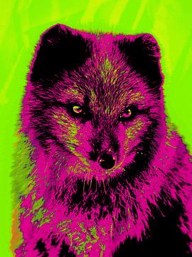 Pop art fox by Mad Dog Art