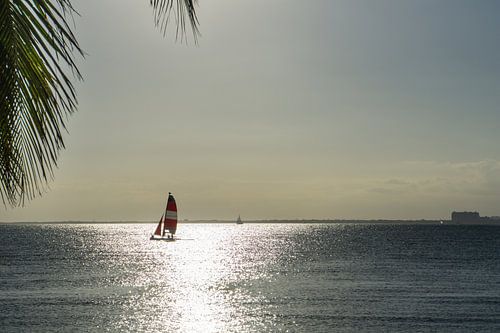 USA, Florida, Zeilschepen op de stille oceaan in de zon