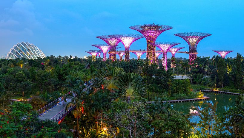 Supertree Grove, Singapur von Yevgen Belich