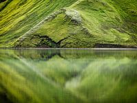 Groene wereld