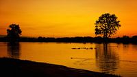 Golden hour