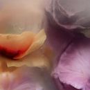 Bloemen in ijs, sensueel van Carla Van Iersel thumbnail