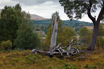 Schots landschap von Ab Wubben