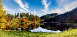 Herbstfarben  an einem See  im Schwarzwald