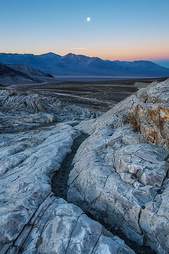 L'éclat de la lune au-dessus des champs