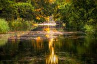 Het Apeldoorns Kanaal by Patrick Rodink thumbnail