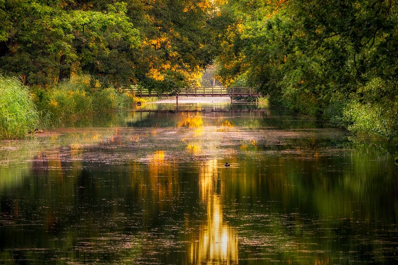 Het Apeldoorns Kanaal by Patrick Rodink